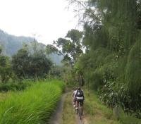 Cycling